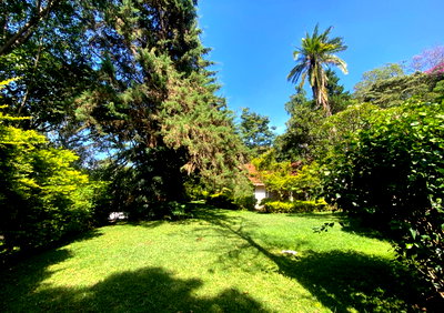 1.2-Acre Garden Plot in Kyuna