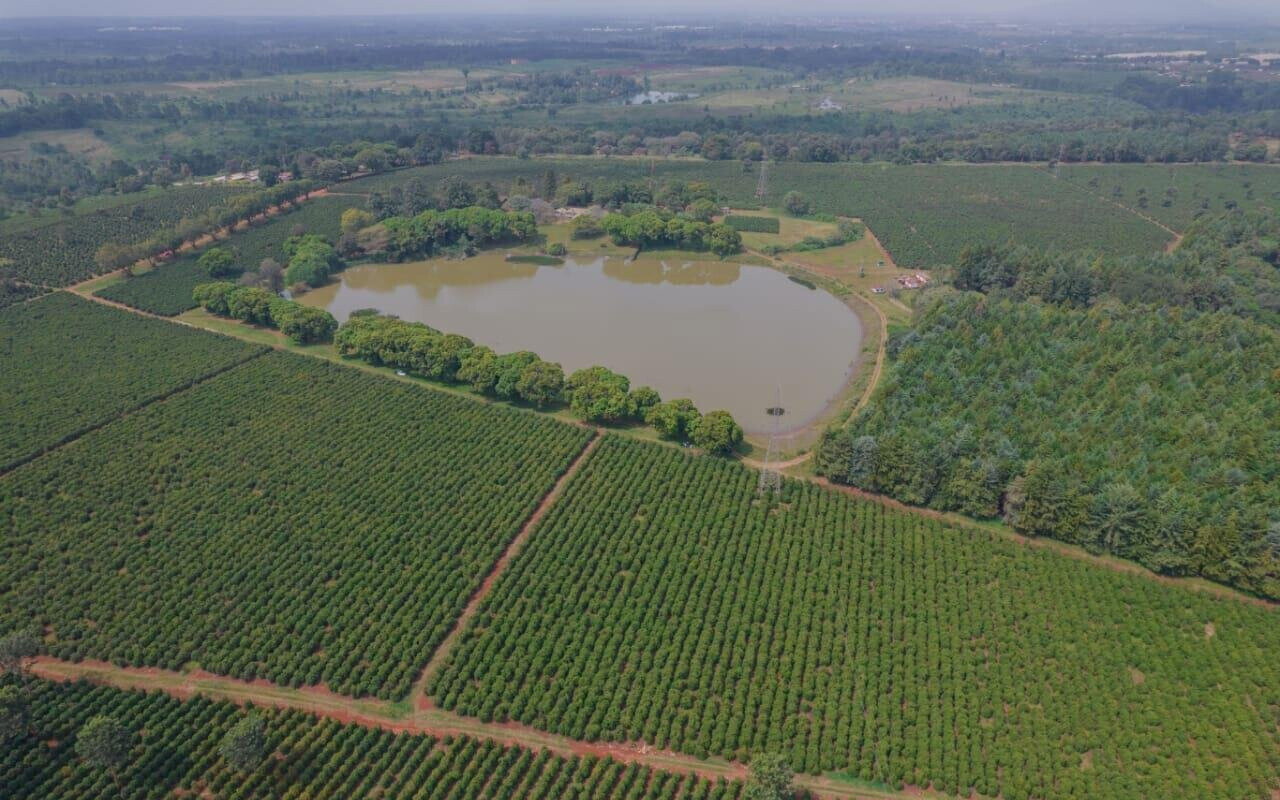 1/8 Acre Garden Plot with Parking at KSh 2.9M