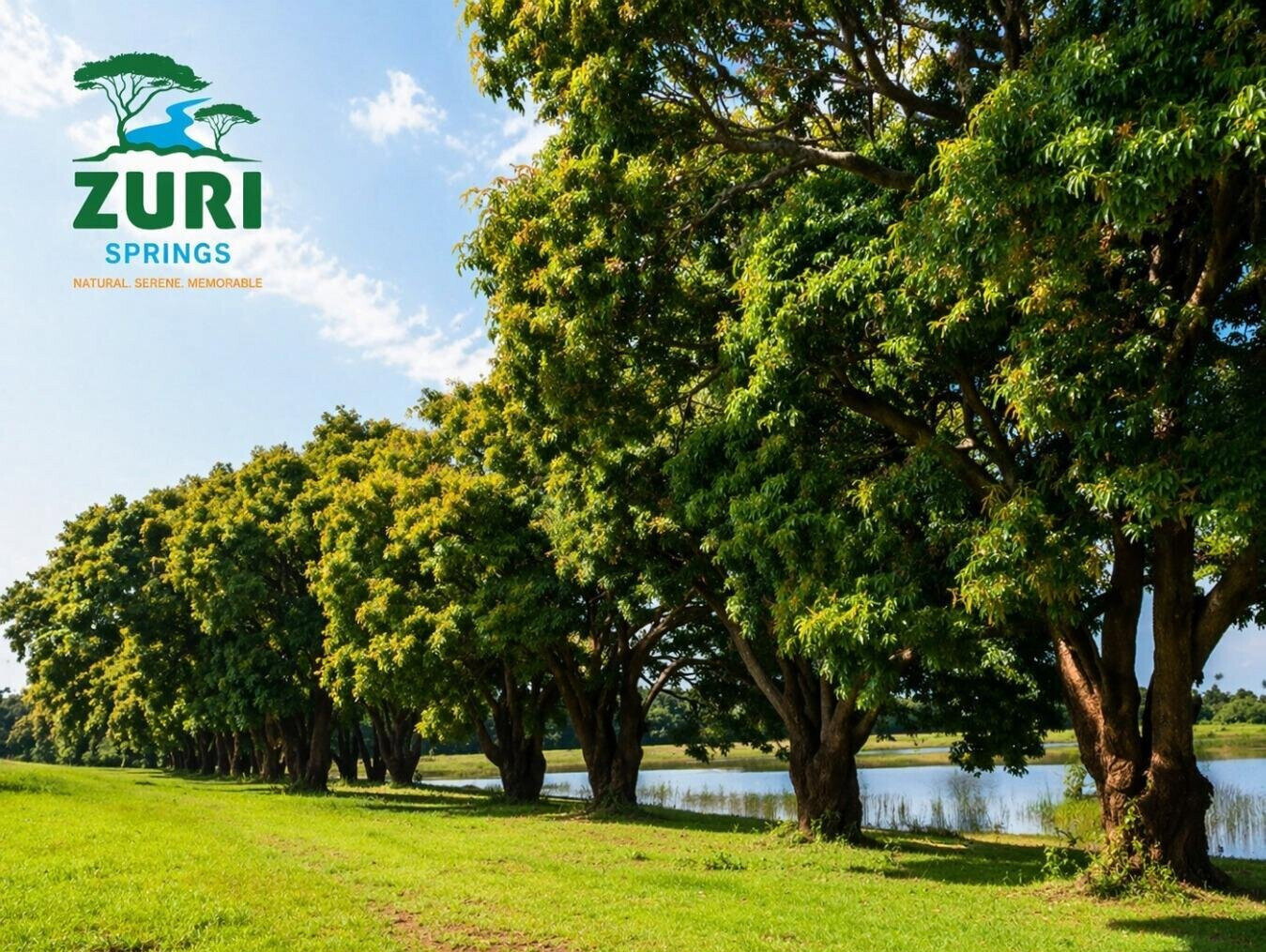 1/8 Acre Garden Plot with Parking at KSh 2.9M