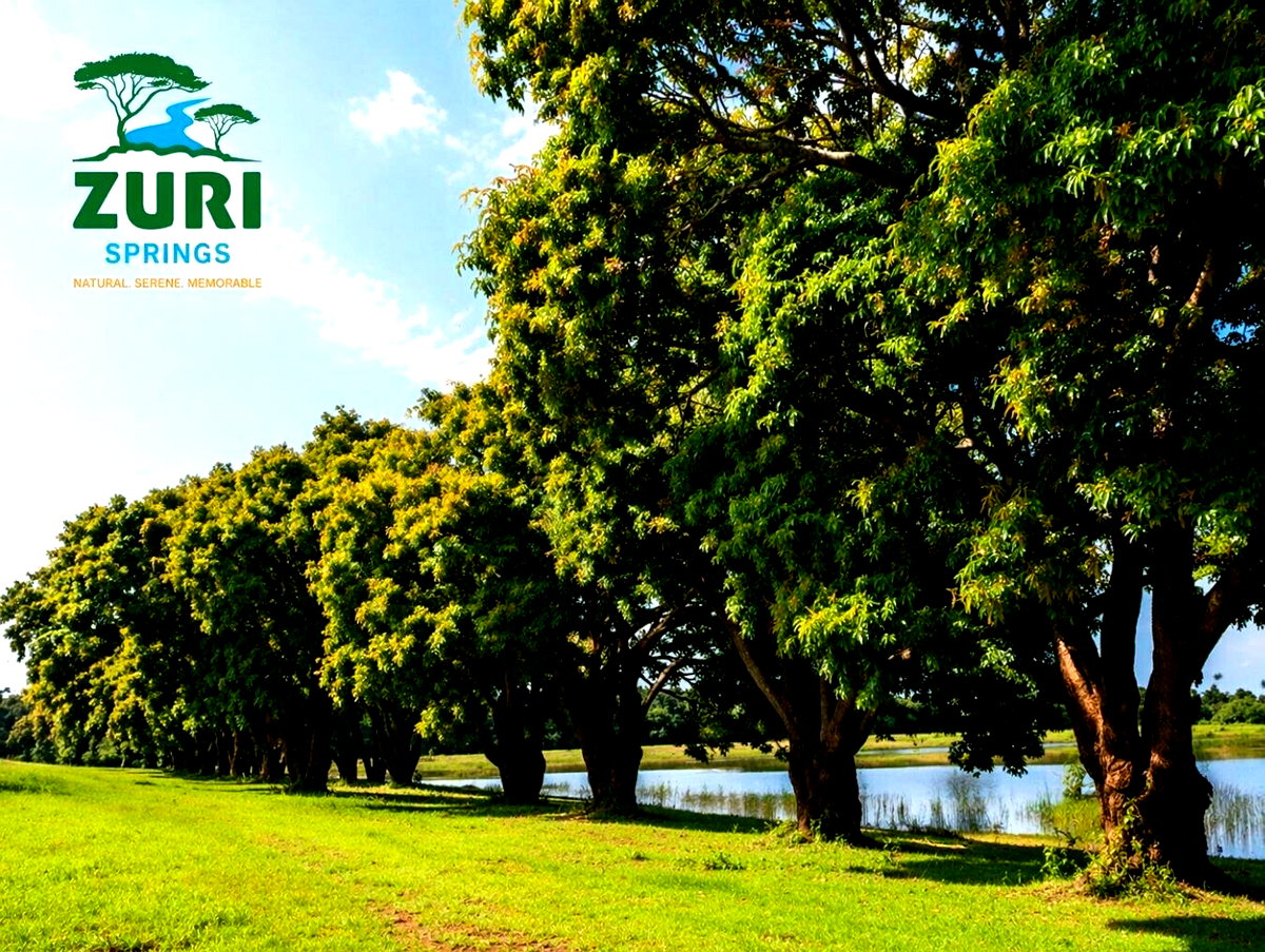 1/8 Acre Garden Plot with Parking at KSh 2.9M