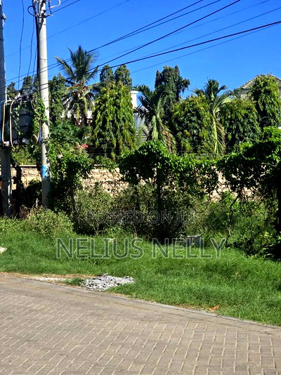 1/4 Acre Plot for Sale Nyali - Image 3