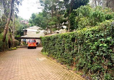Garden Oasis at KSh 250K
