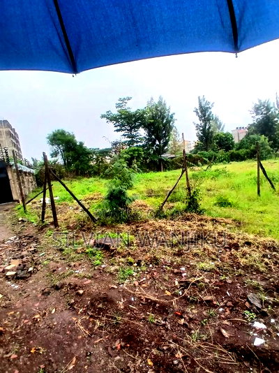 1/8 Acre Plot for Sale in Ruiru ,Kihunguro - Image 2
