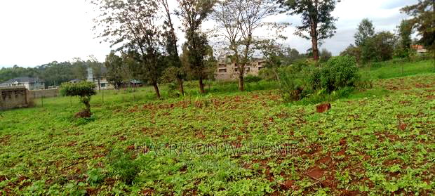 50*100 Plot for Sale in Ngong, Maragara Road.