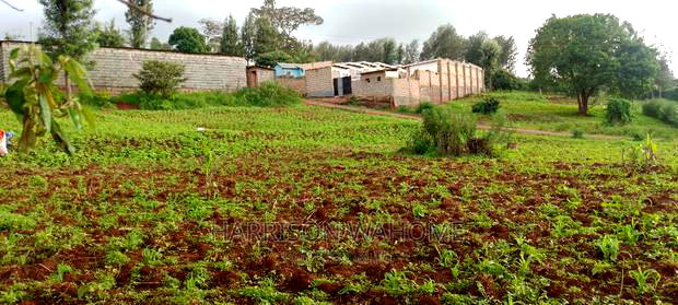 50*100 Plot for Sale in Ngong, Maragara Road.