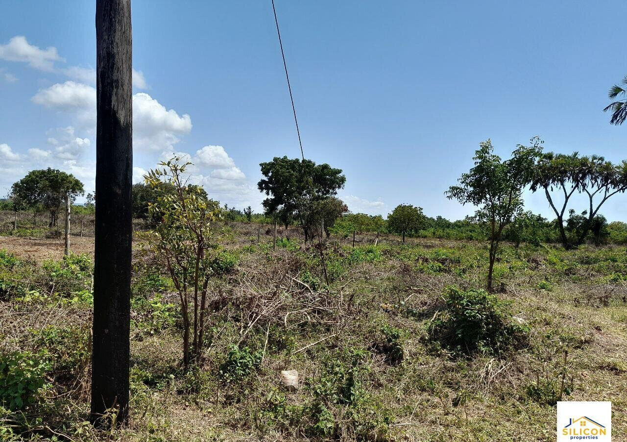 Quarter Acre Gem in Kwale