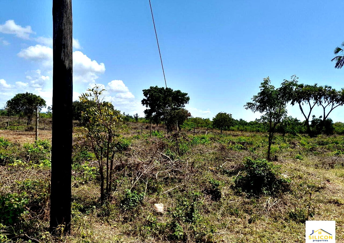 Quarter Acre Gem in Kwale