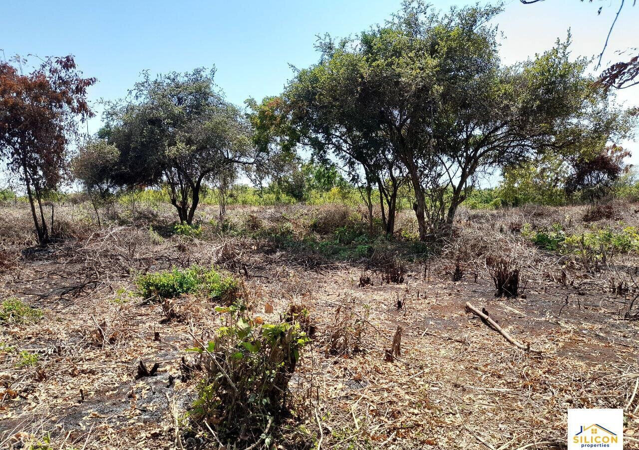 Quarter Acre Gem in Kwale