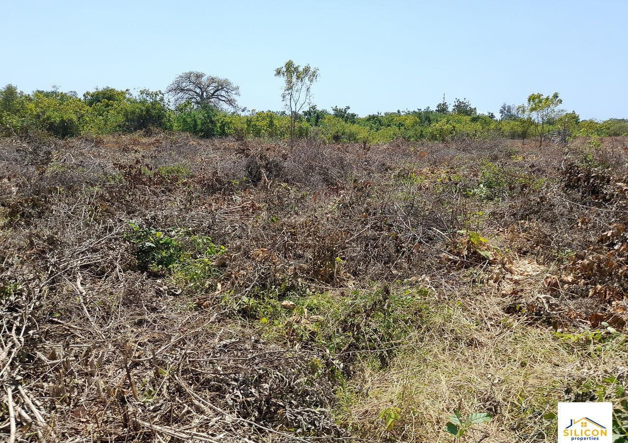 Quarter Acre Gem in Kwale