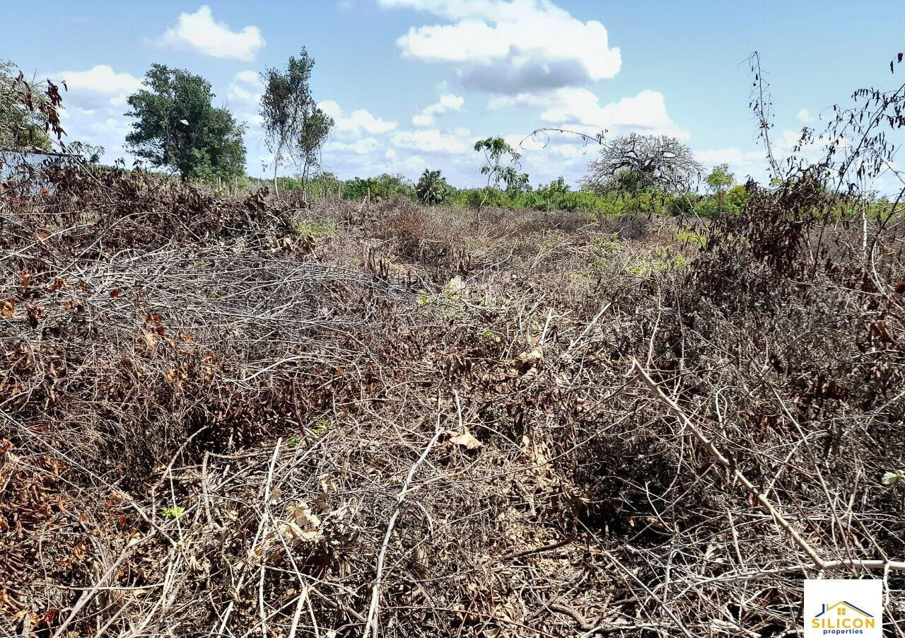 Quarter Acre Gem in Kwale