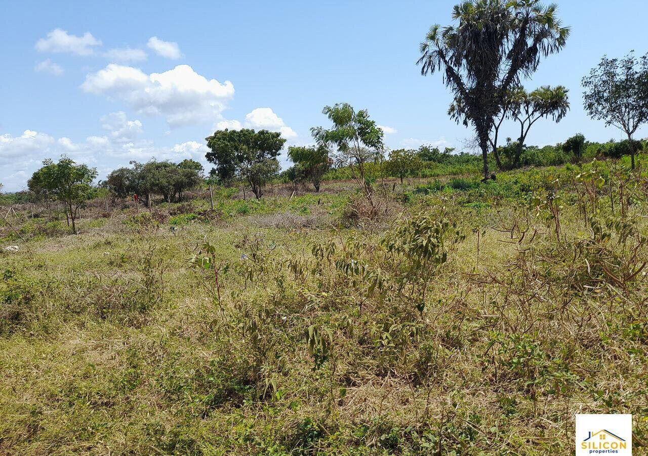 Quarter Acre Gem in Kwale