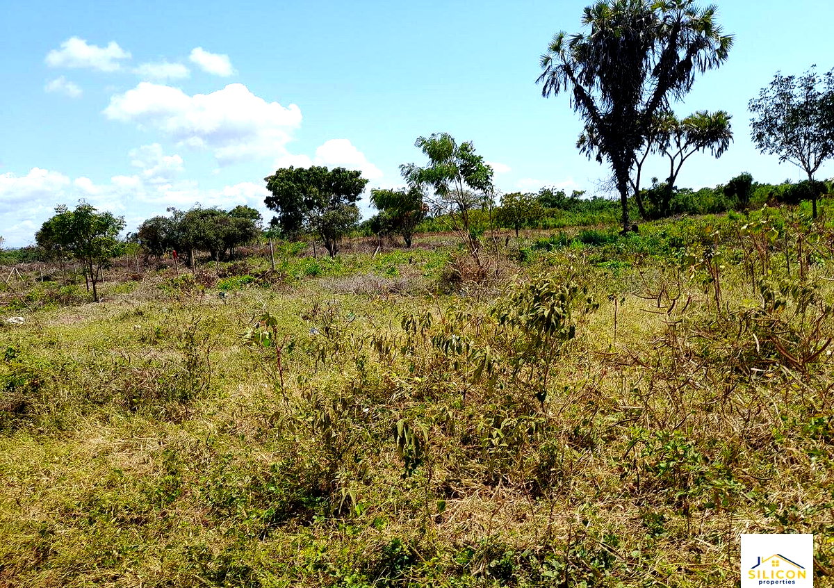 Quarter Acre Gem in Kwale