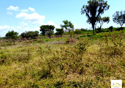 Quarter Acre Gem in Kwale