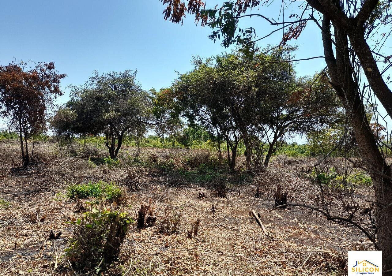Quarter Acre Gem in Kwale