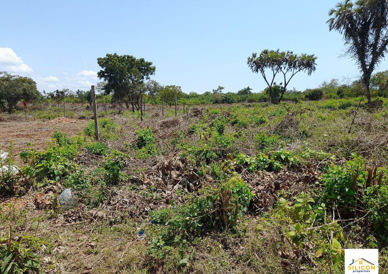 Quarter Acre Gem in Kwale