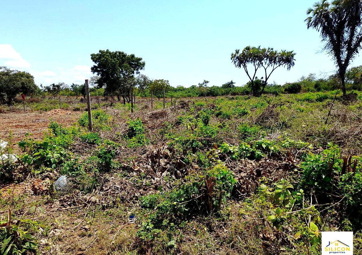Quarter Acre Gem in Kwale