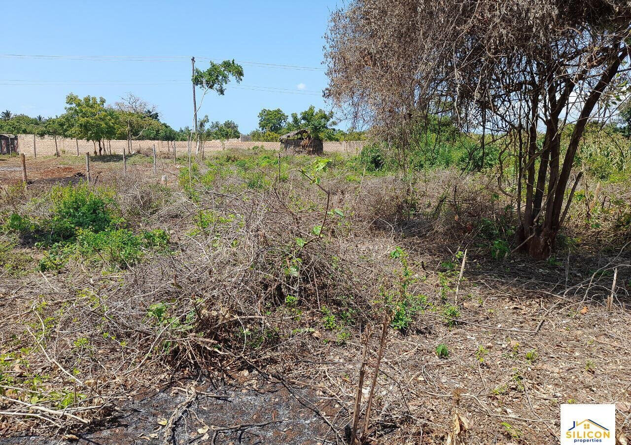 Quarter Acre Gem in Kwale