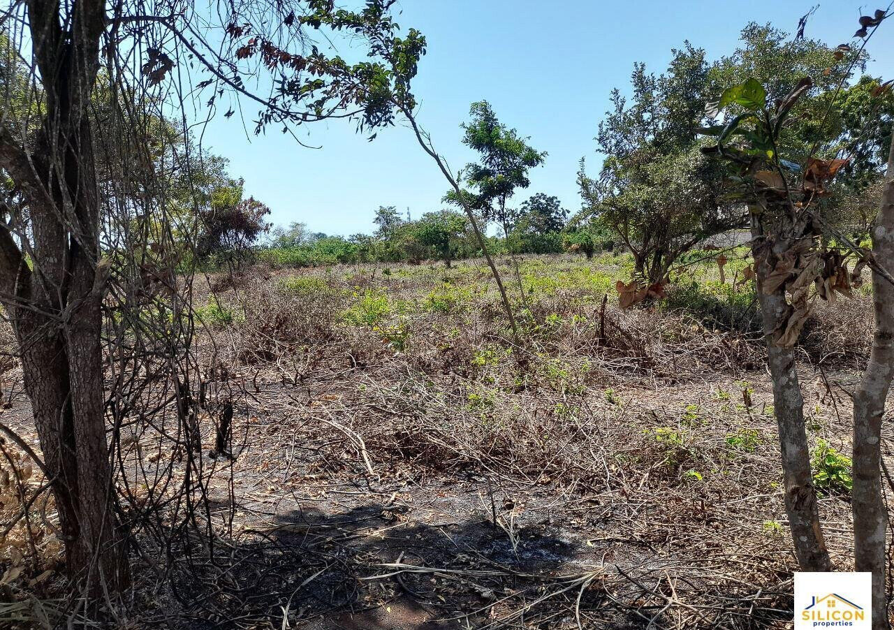 Quarter Acre Gem in Kwale