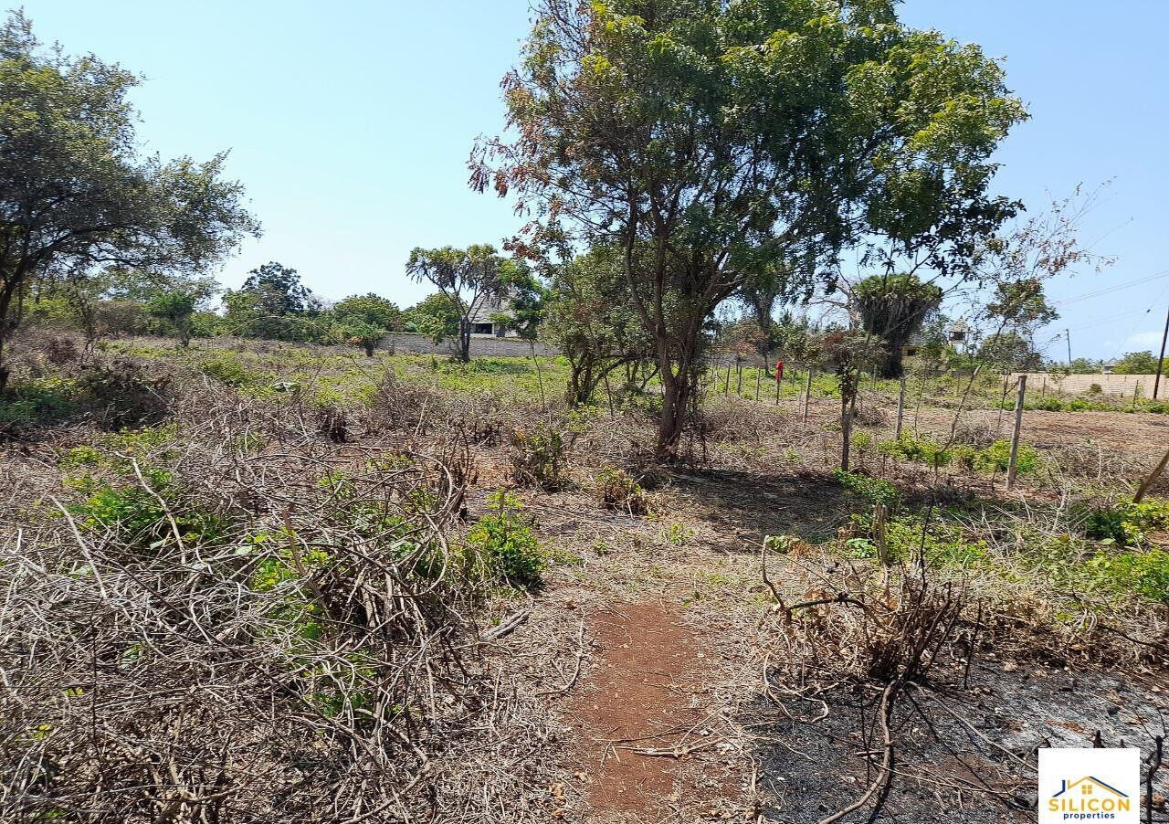 Quarter Acre Gem in Kwale