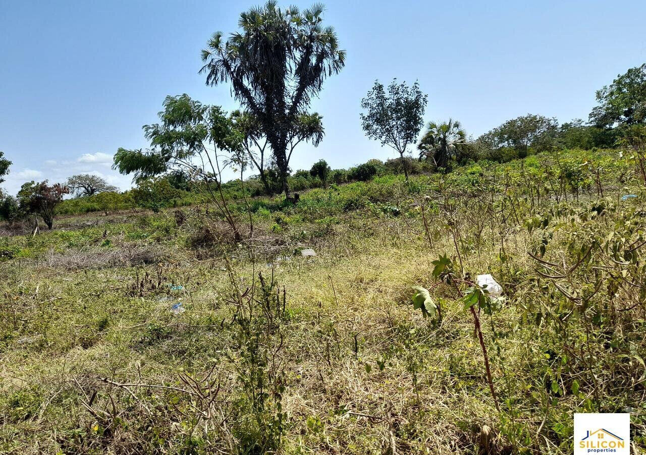 Quarter Acre Gem in Kwale