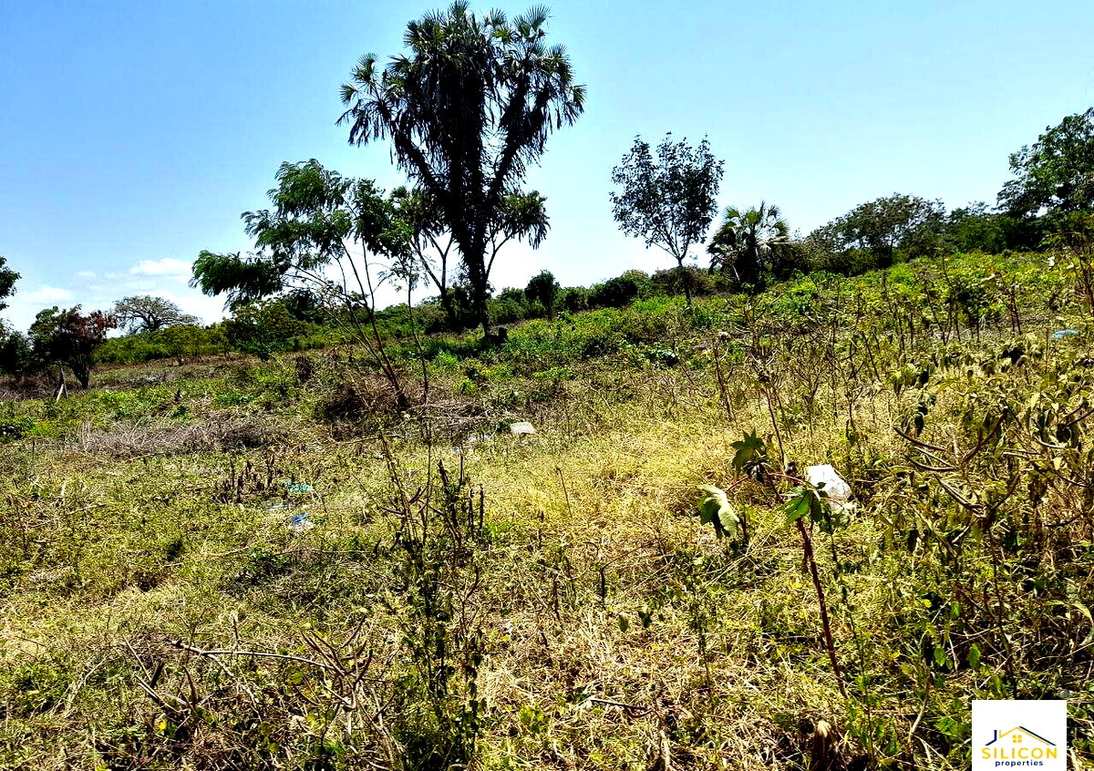 Quarter Acre Gem in Kwale