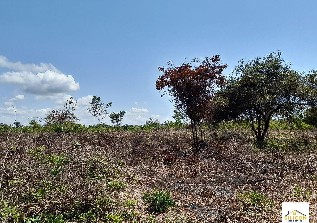 Quarter Acre Gem in Kwale