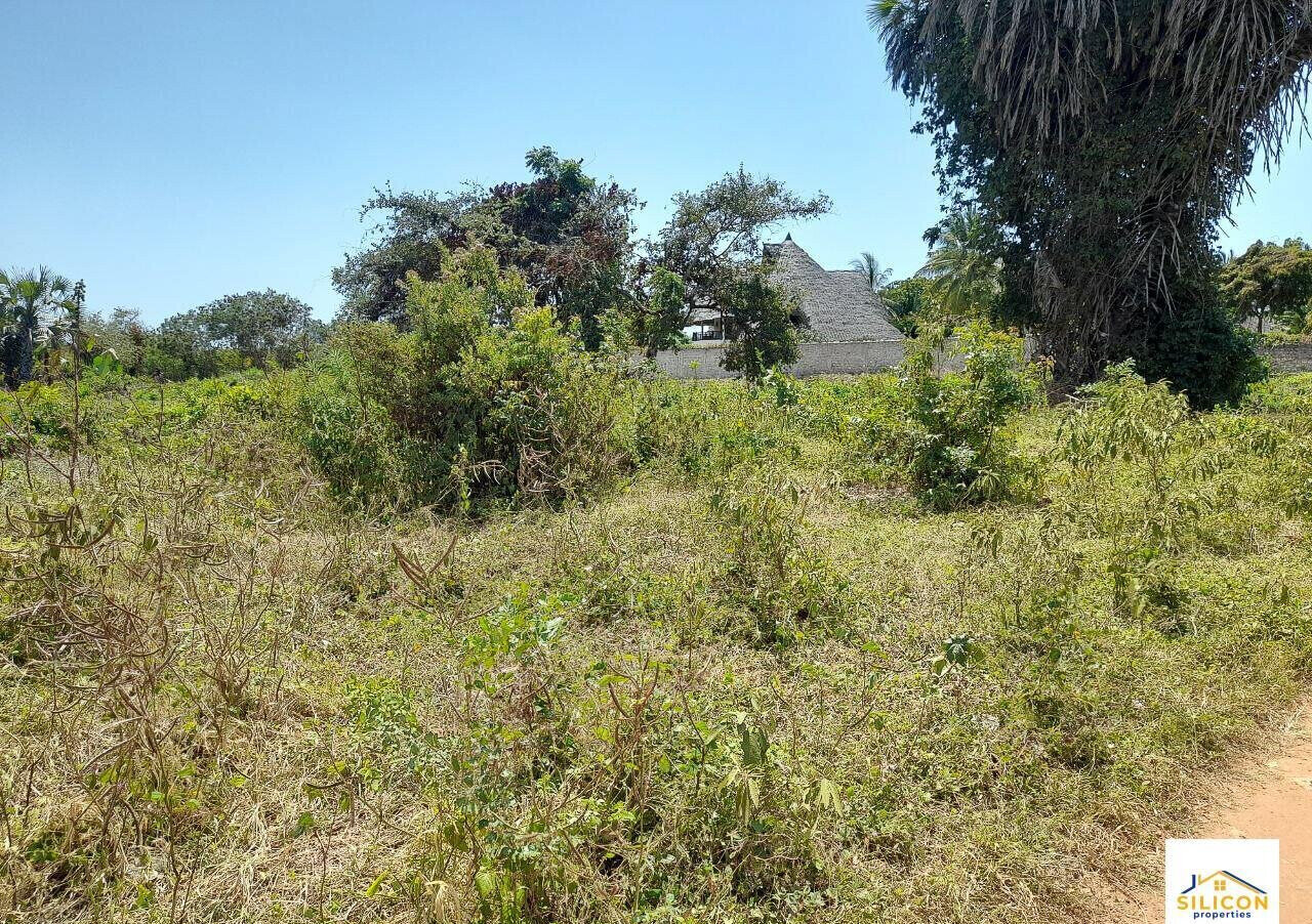 Quarter Acre Gem in Kwale