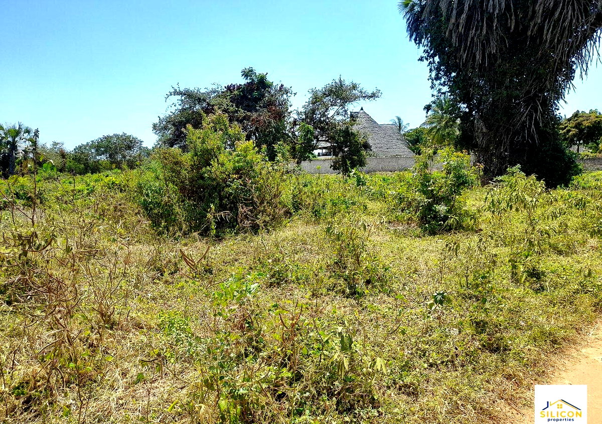 Quarter Acre Gem in Kwale