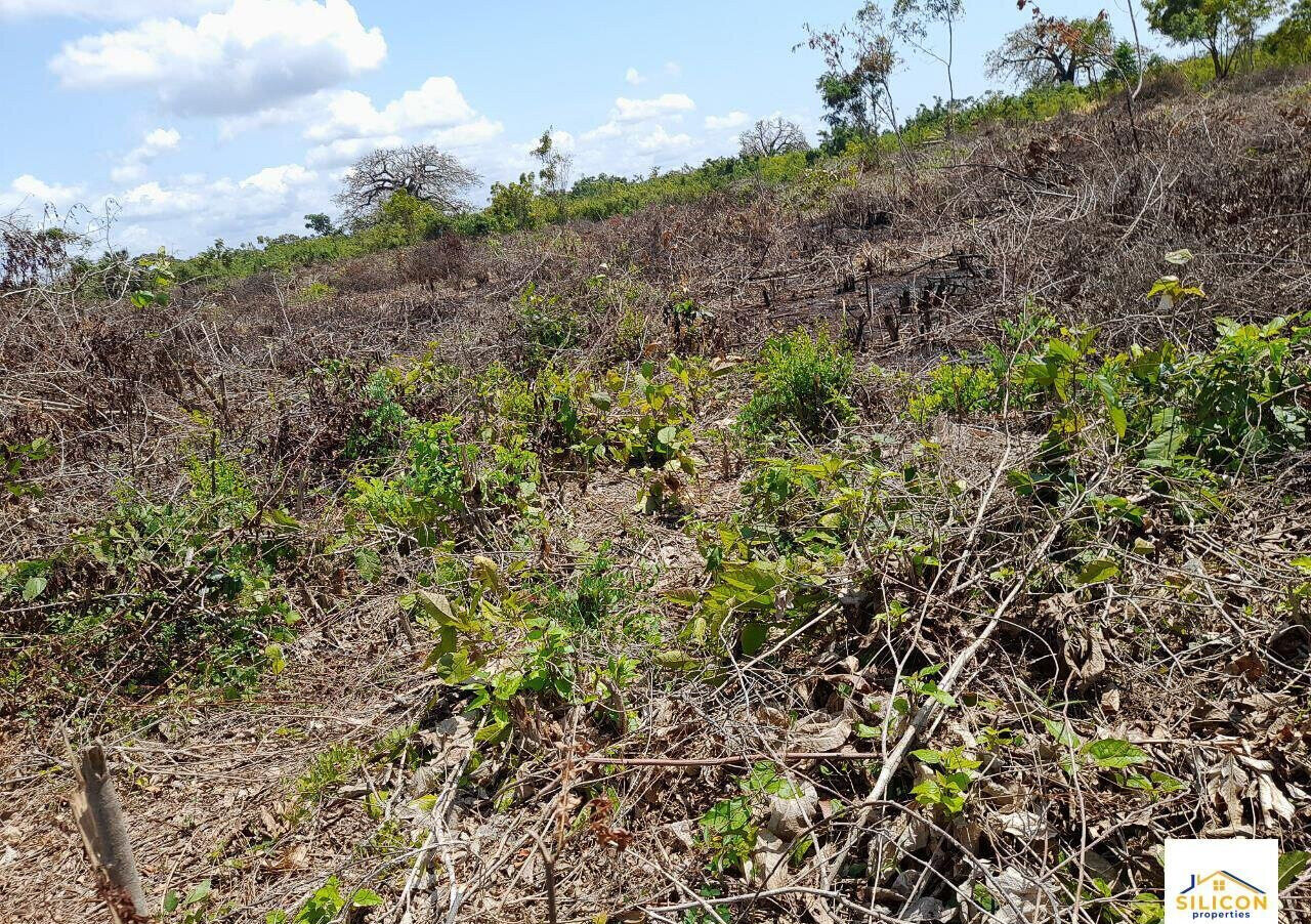 Quarter Acre Gem in Kwale