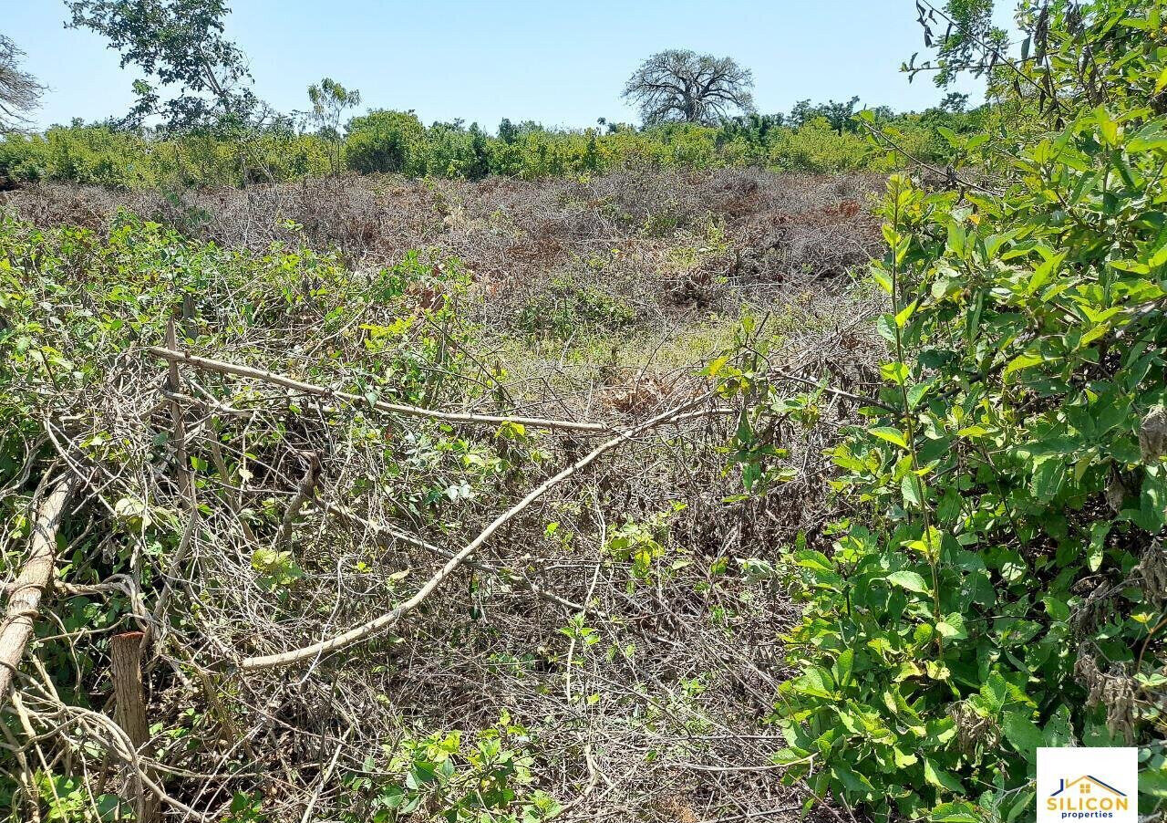 Quarter Acre Gem in Kwale