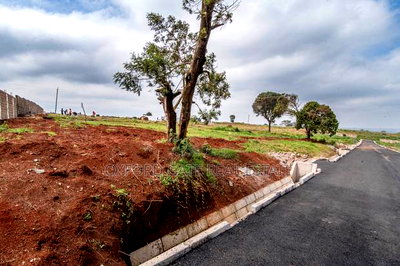 Lease Hold - Image 18