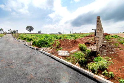 Lease Hold - Image 19