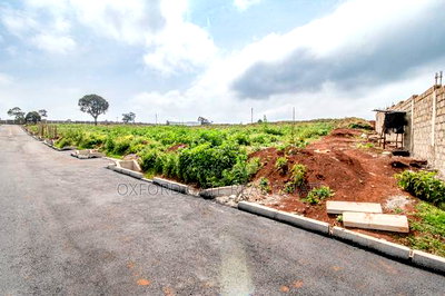 Lease Hold - Image 9