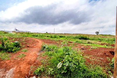 Lease Hold - Image 13