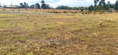 Commercial Plot for Sale in Kimumu Eldoret - Image 10
