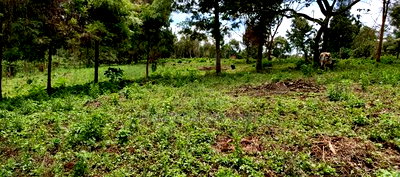Quarter Acre Plots for Sale in Ngong Kahara Centre - Image 5