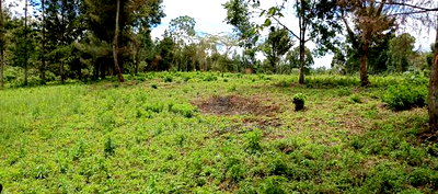Quarter Acre Plots for Sale in Ngong Kahara Centre - Image 3