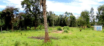 Quarter Acre Plots for Sale in Ngong Kahara Centre - Image 4
