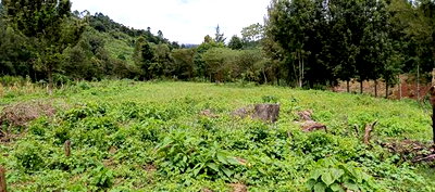 Quarter Acre Plots for Sale in Ngong Kahara Centre - Image 2