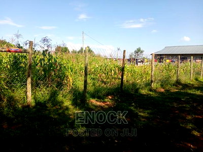 Prime 1/4acre for Sale in Kipkorgot Misoi Upperside - Image 2