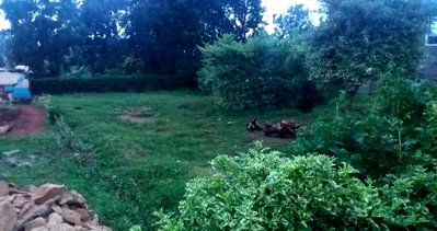 KSh 3.5M Garden Plot with Parking