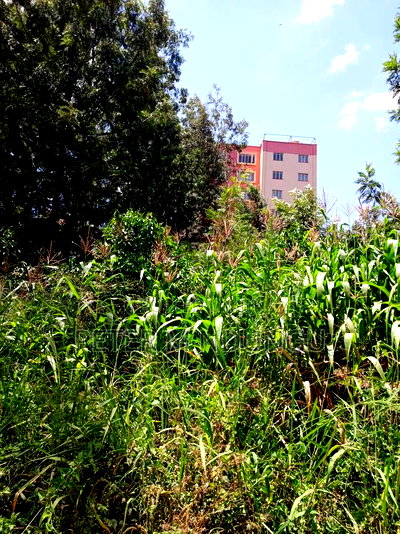 Commercial Plot on Sale, 0.0375 Acre, Thindigua - Image 4