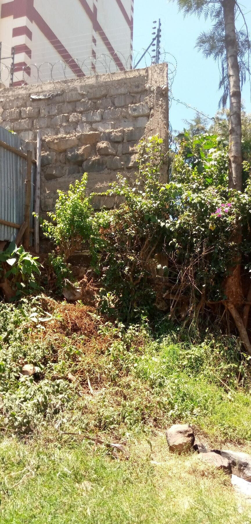 50x100 Plot with Garden in Dagoretti