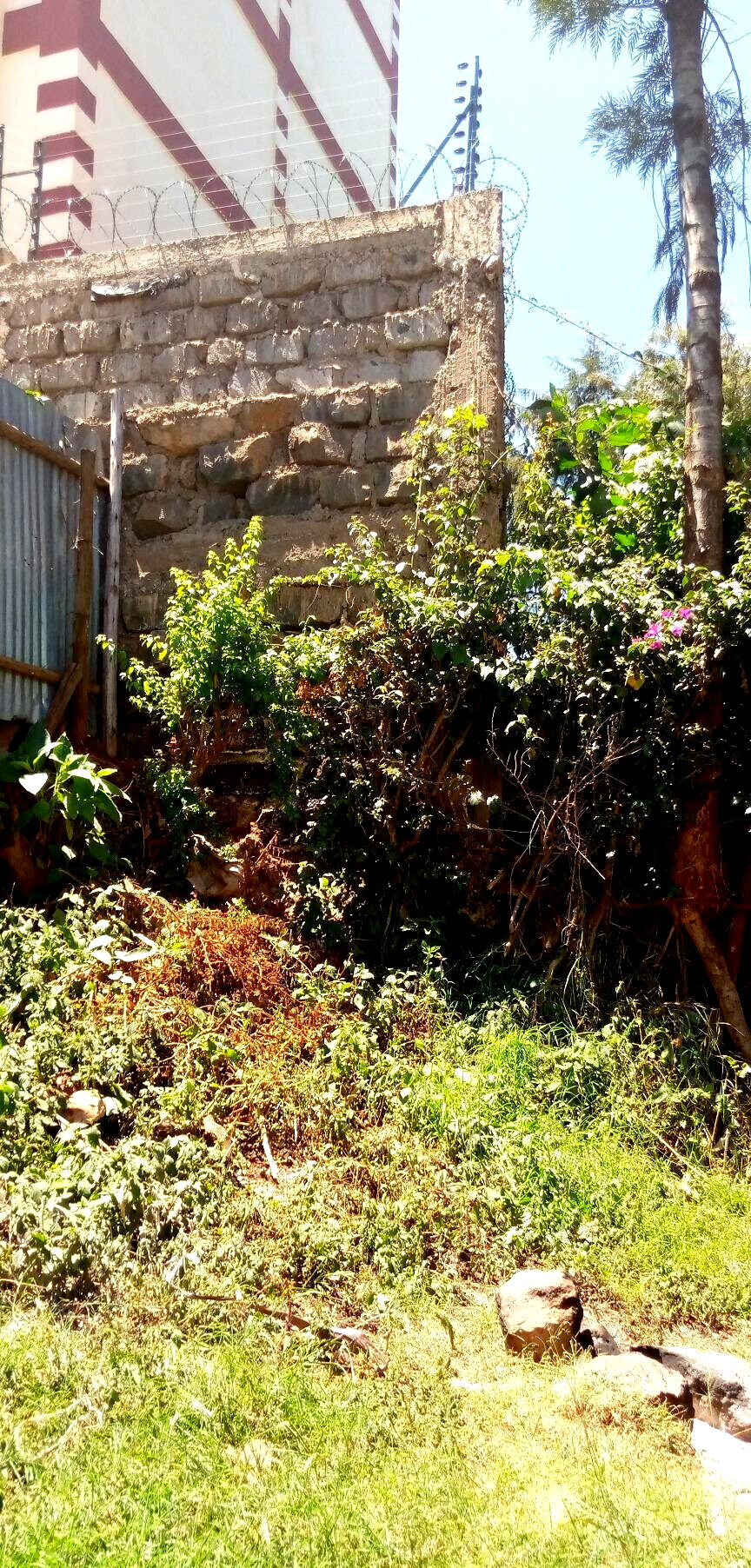 50x100 Plot with Garden in Dagoretti