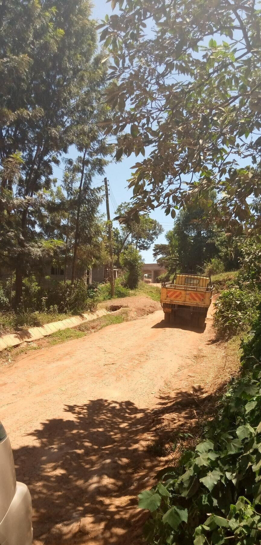 50x100 Plot with Garden in Dagoretti