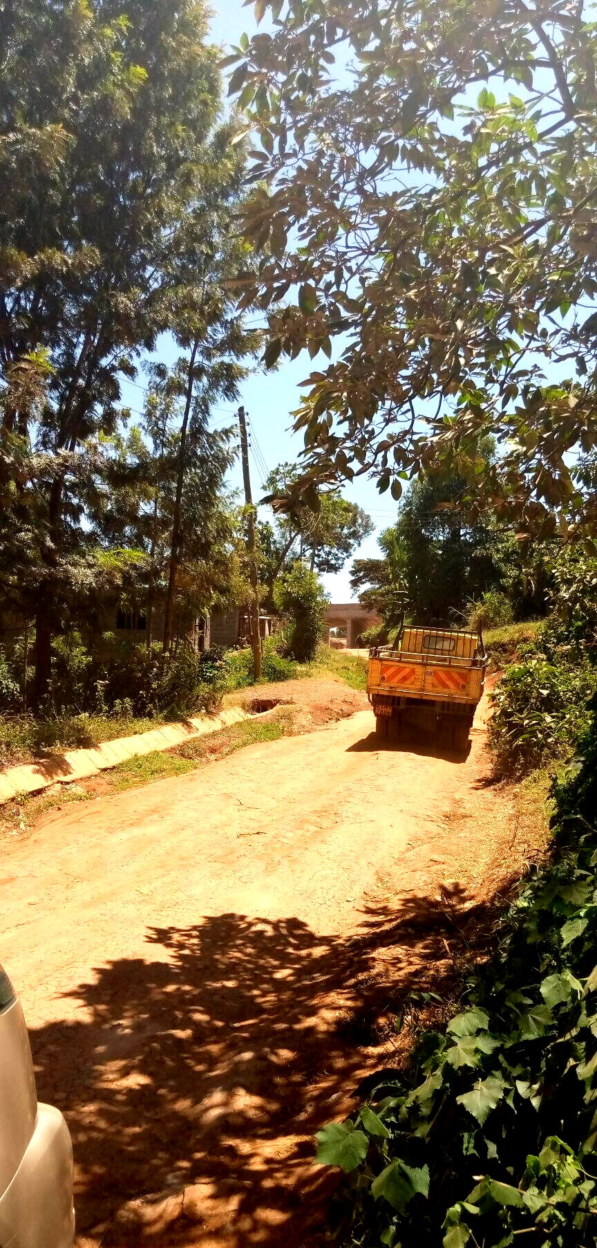 50x100 Plot with Garden in Dagoretti