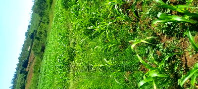 Uref Primary School in Ugunja - Image 3