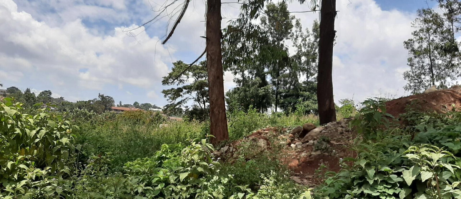 1 Acre Garden Plot in Kangemi