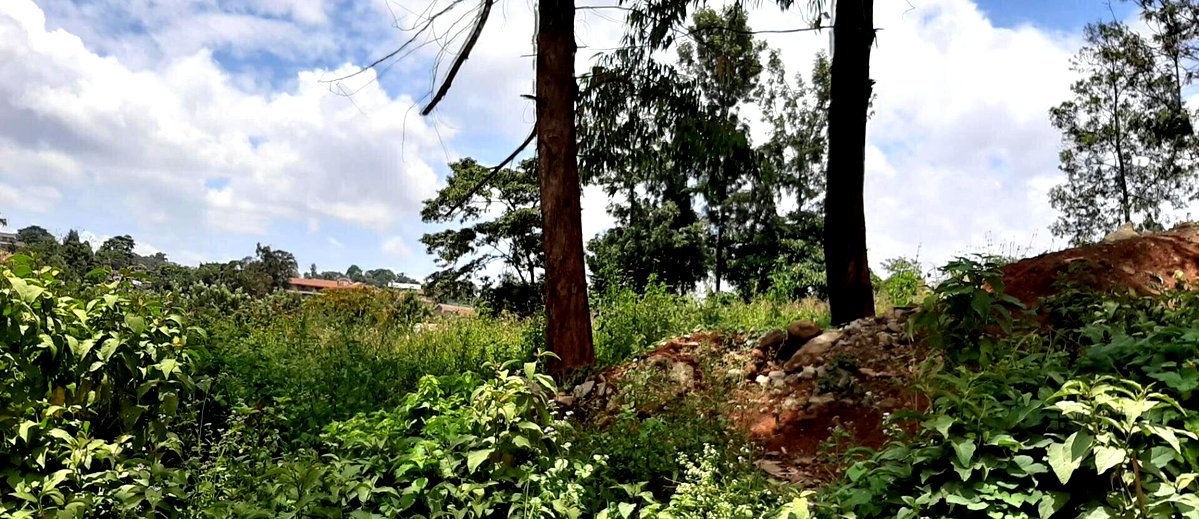 1 Acre Garden Plot in Kangemi