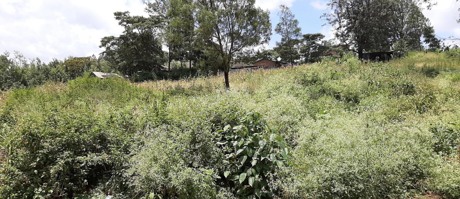 1 Acre Garden Plot in Kangemi